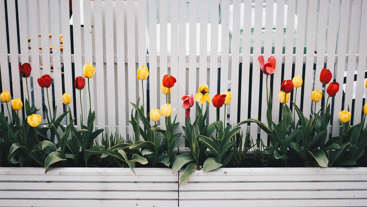 How to choose fencing that’ll increase property value