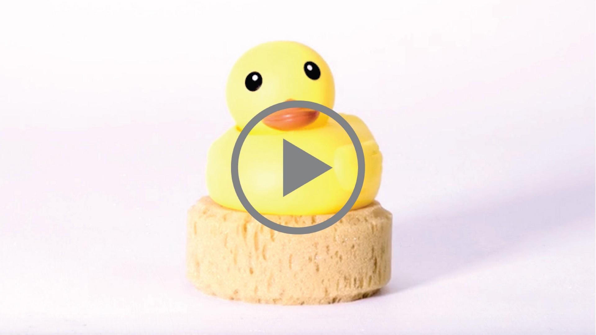 bathroom budget renovations